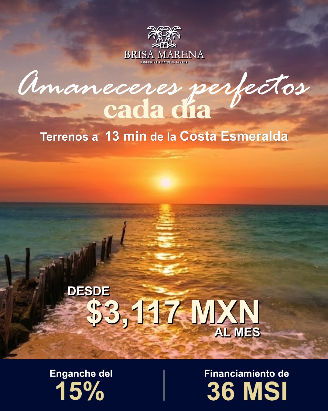 Galería 2
